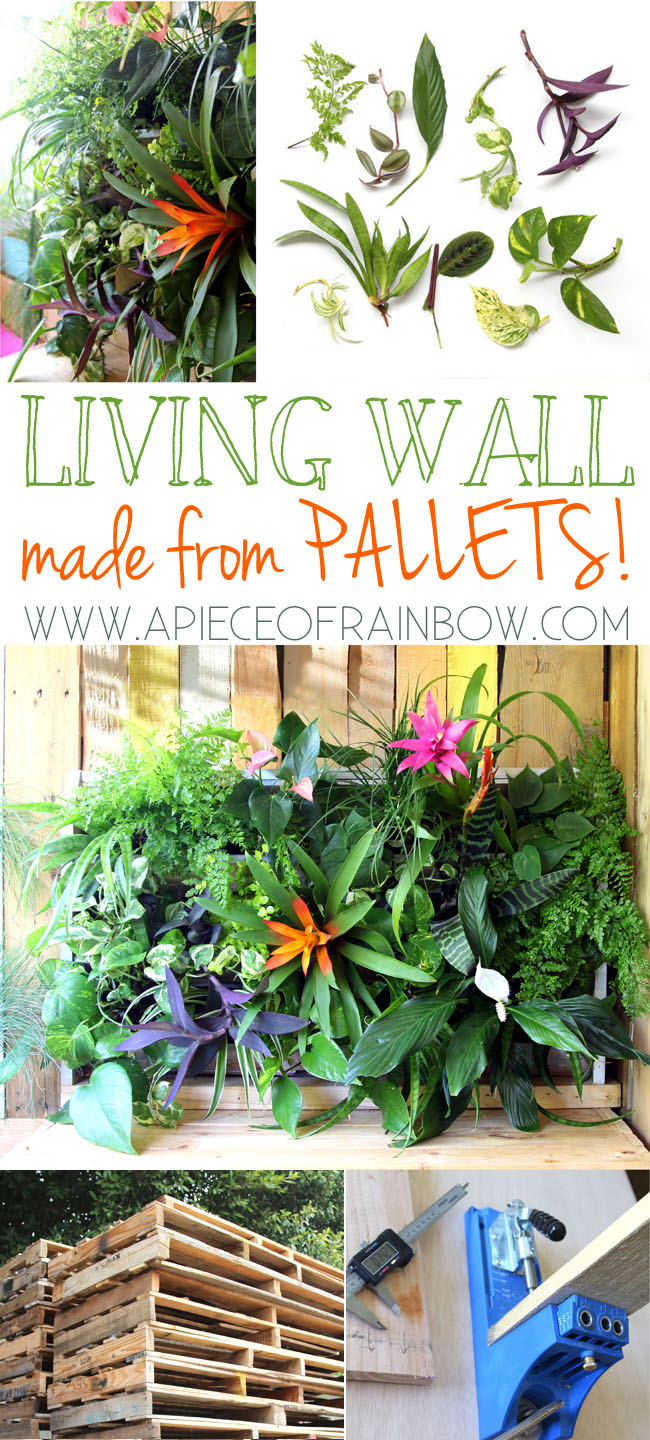 pallet-living-wall