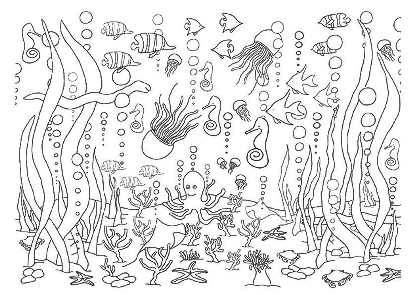 5 Underwater Coloring Pages - diy Thought