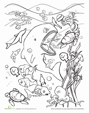 3-5-underwater-coloring-pages