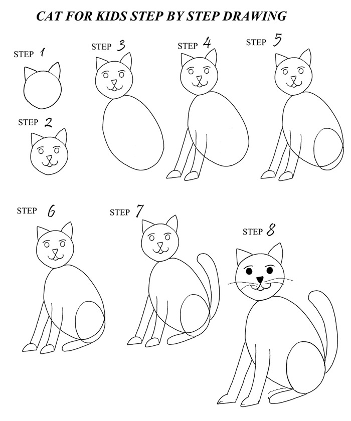 3-6-how-to-draw-animals