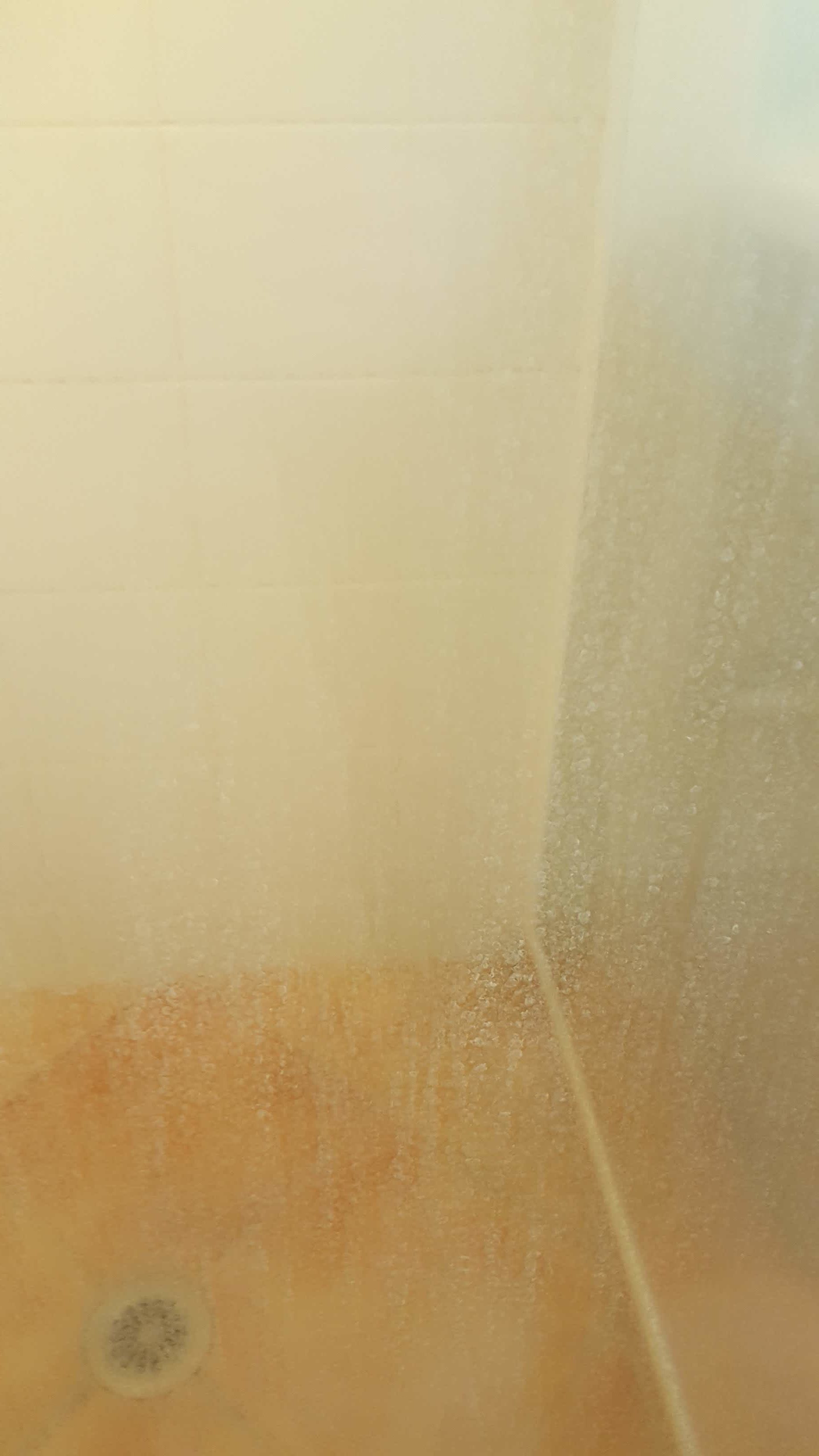 Quick & Easy Cleaning Hack Glass Shower Door diy Thought