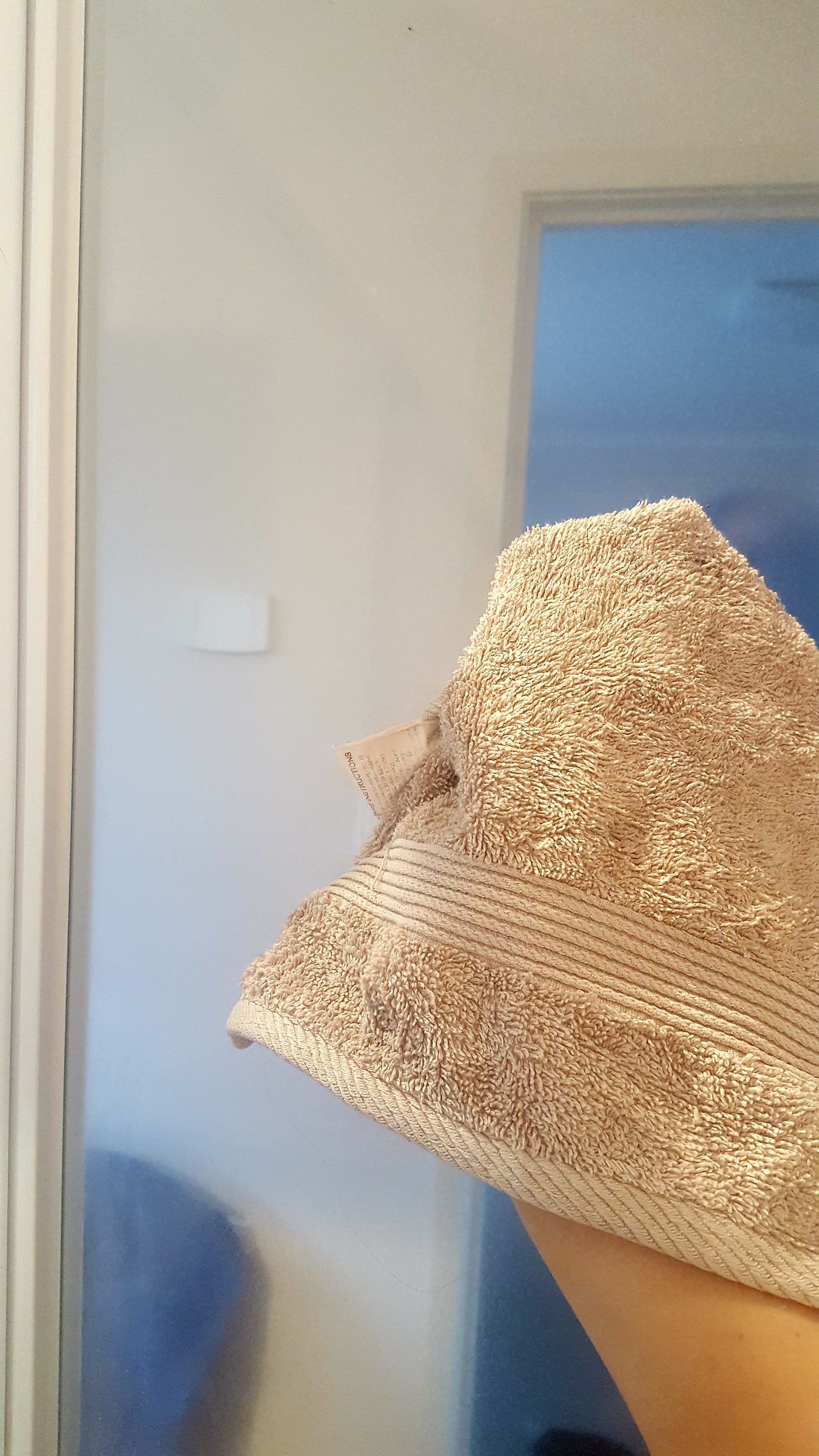 Quick & Easy Cleaning Hack Glass Shower Door diy Thought