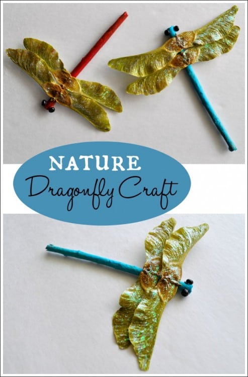 Nature dragonfly craft