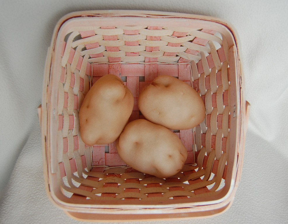 6-10-diy-pretend-play-foods