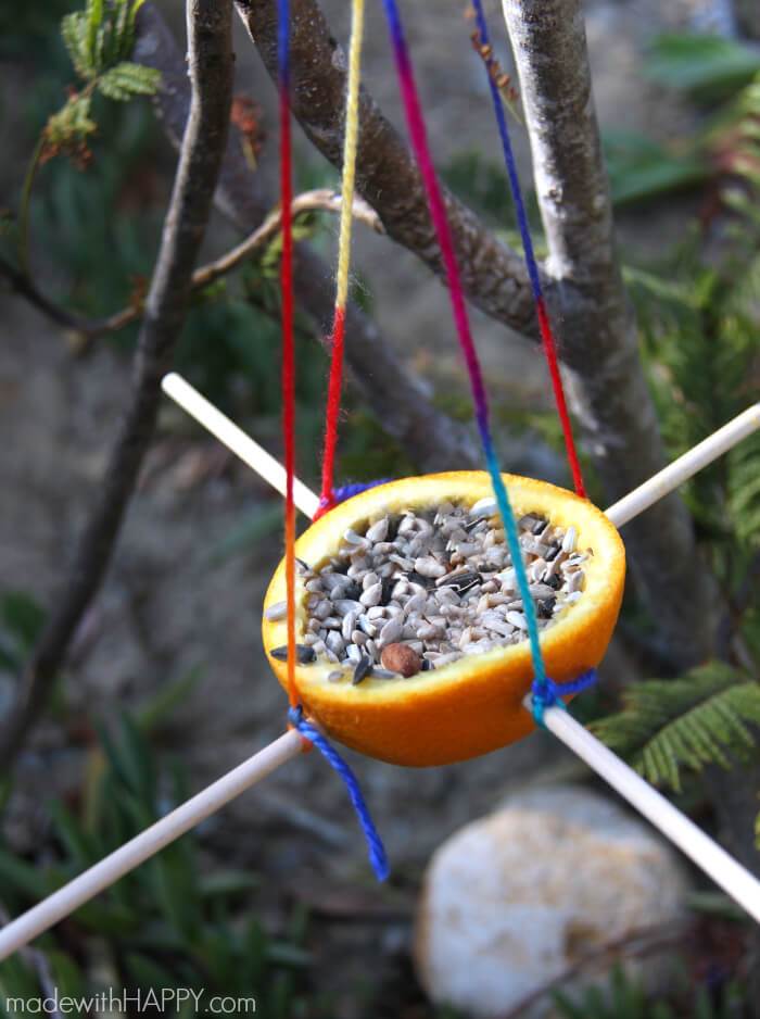 Orange Bird Feeder