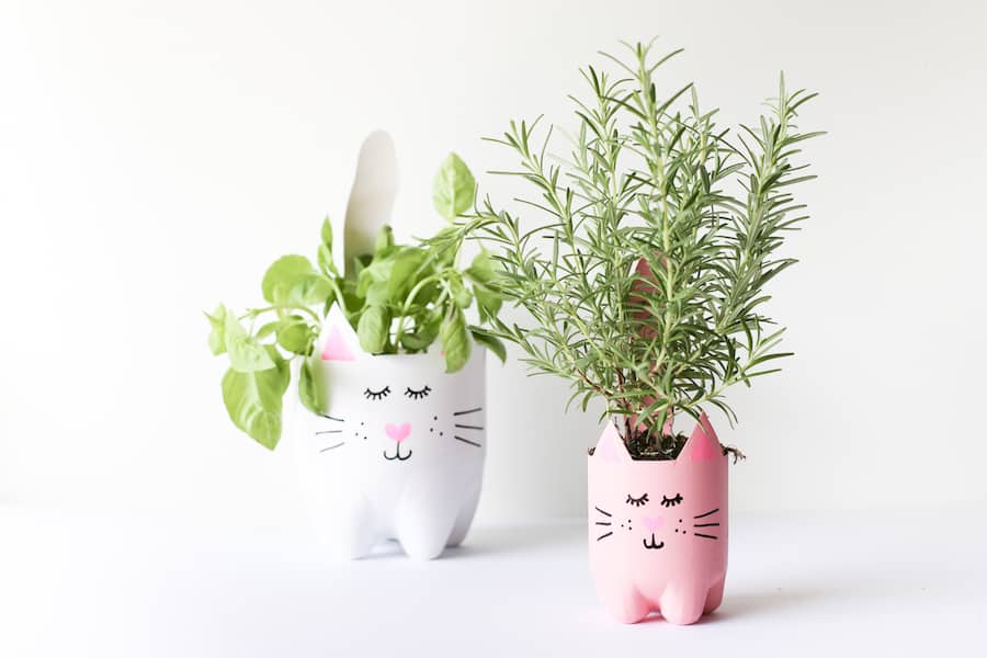 Soda Bottles Kitty Cat Planter