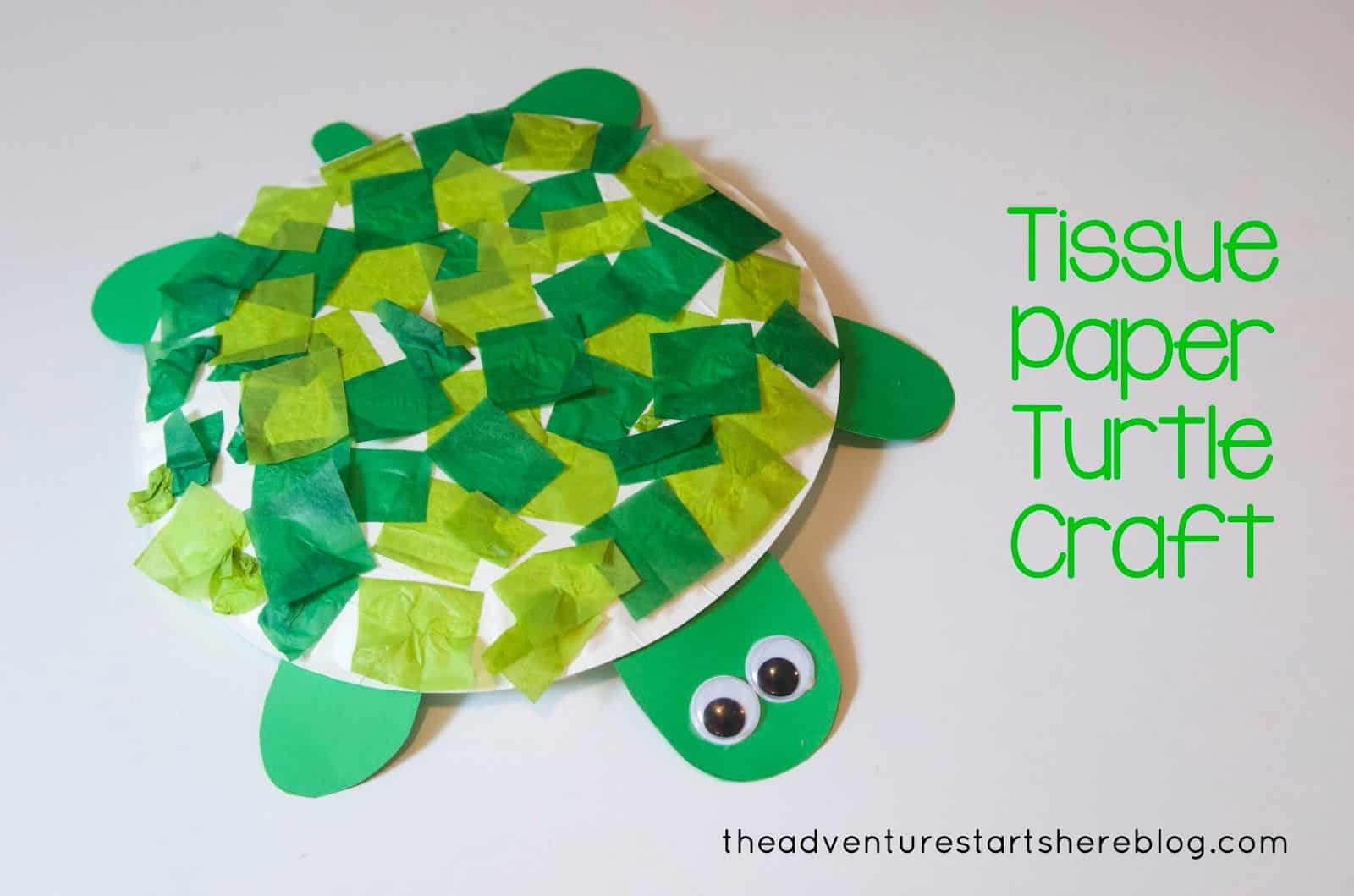 5 Fun Turtle Crafts DIY Thought
