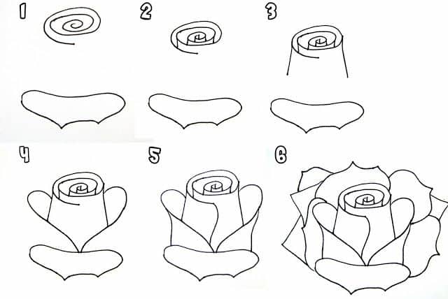 Featured image of post Pictures Of Flowers To Draw Step By Step : When you have done one, why not draw a whole field of daffodils!