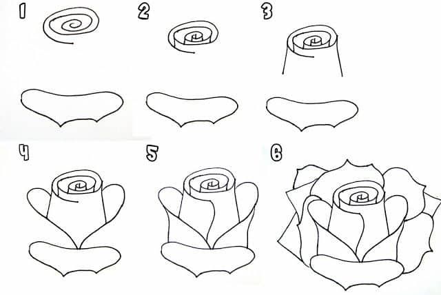 Featured image of post Pictures Of Flowers To Draw Step By Step : When you have done one, why not draw a whole field of daffodils!