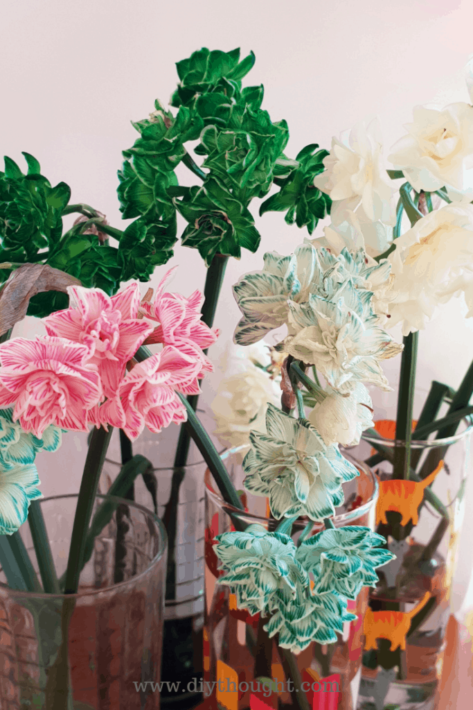 Dyed Flower Using Food Coloring diy Thought