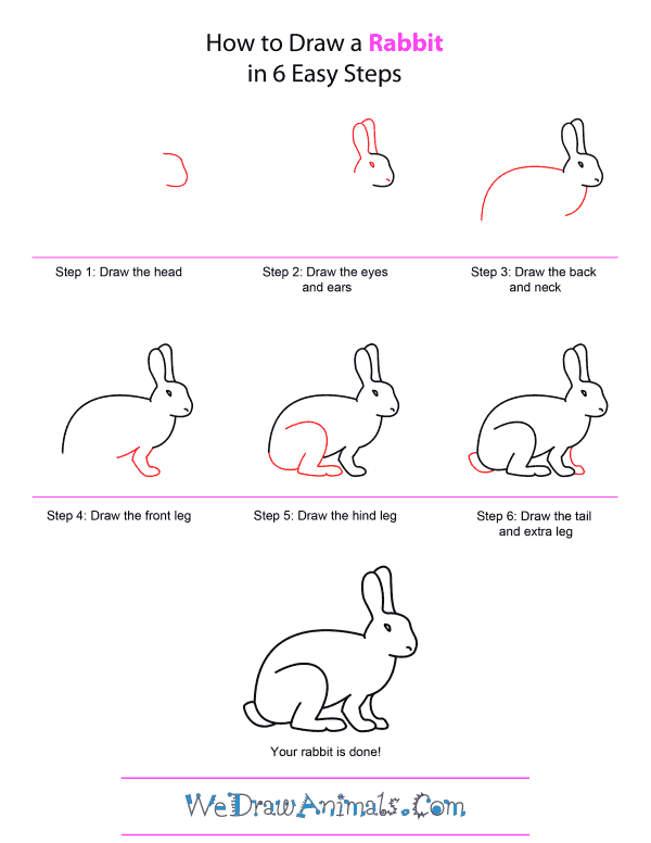 how to draw a basic rabbit
