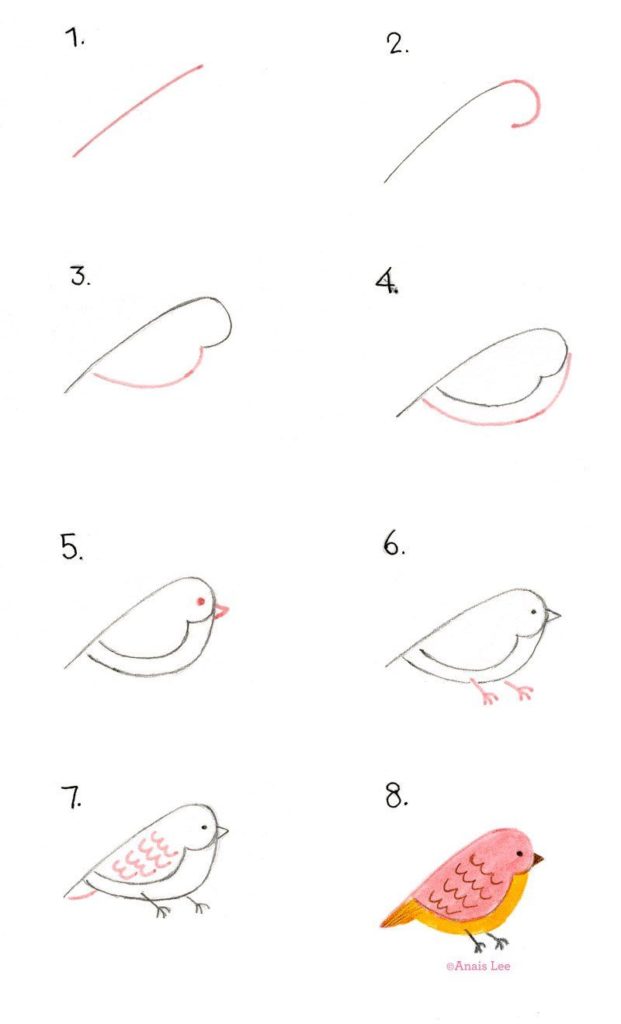 How To Draw Birds Diy Thought