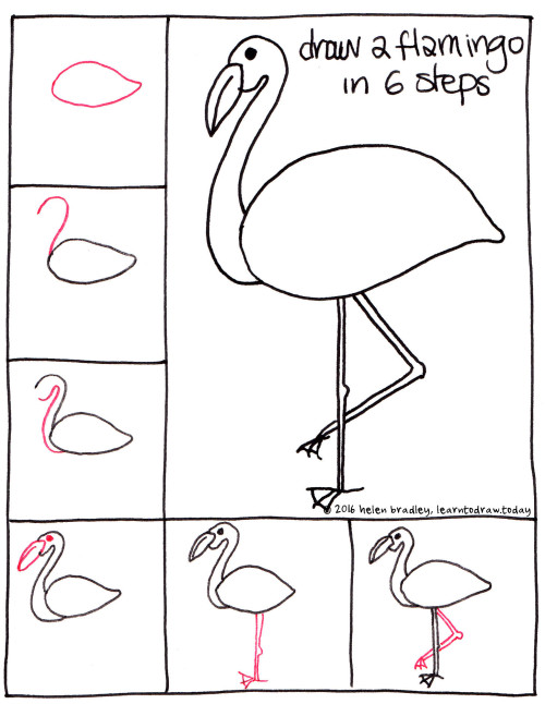 how to draw flamingo