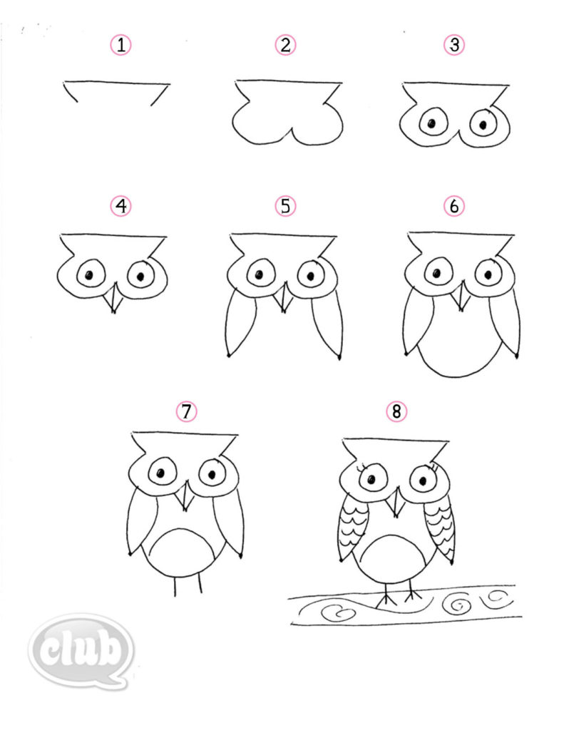7 how to draw birds