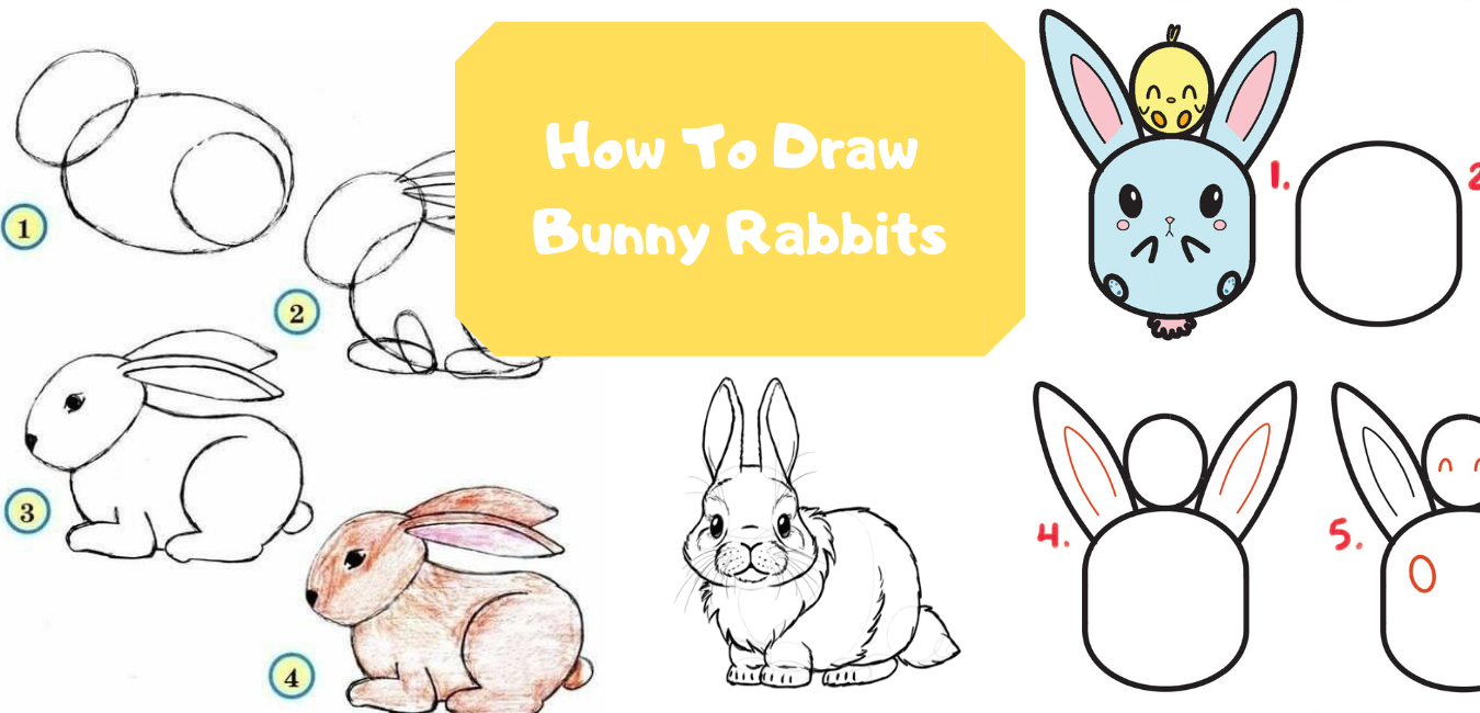 Share 208+ rabbit sketch easy best