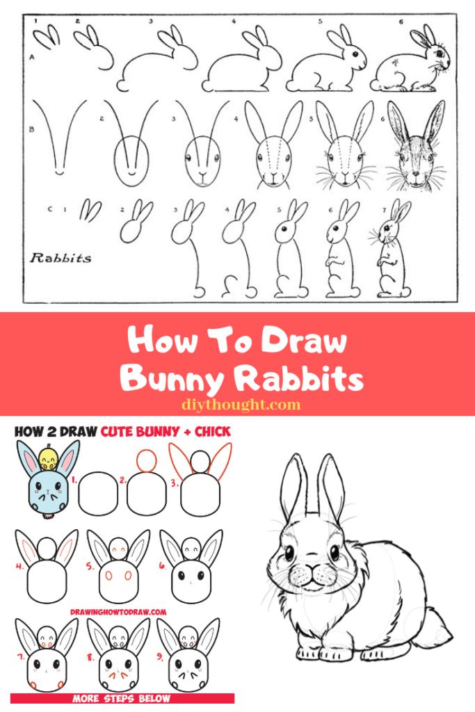 how to draw bunny rabbits