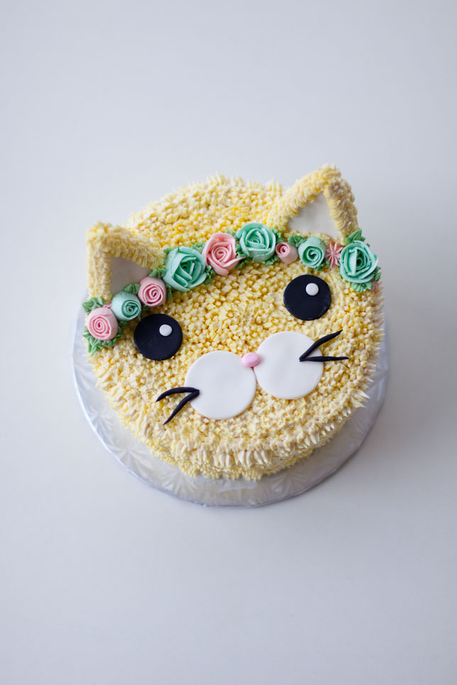 cat cake inspiration 
