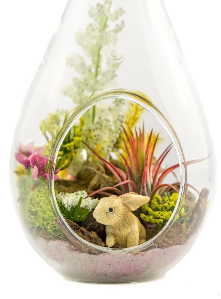 How-to-make-a-Terrarium