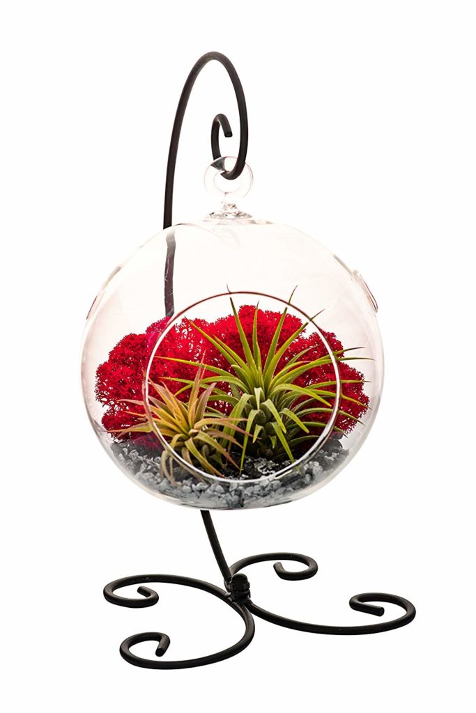 How-to-make-a-Terrarium