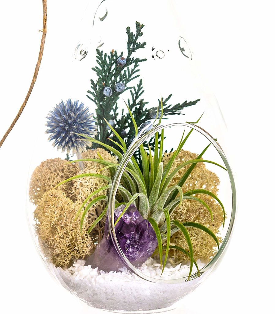 How-to-make-a-Terrarium