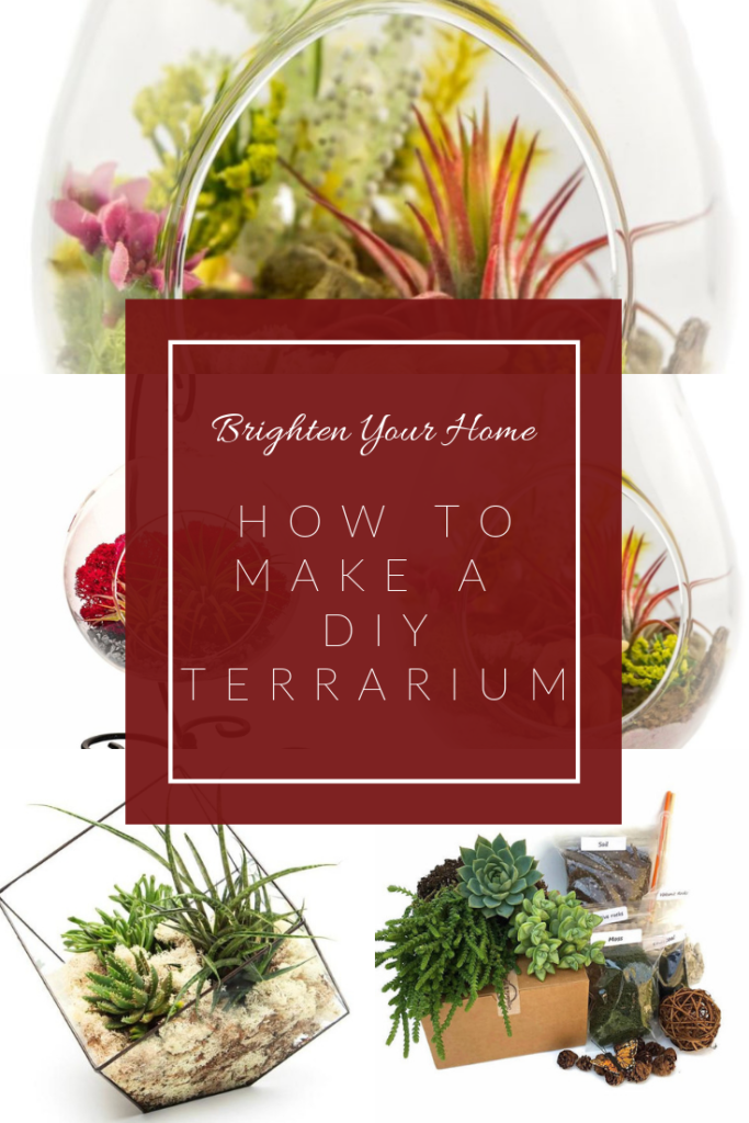 How to make a DIY Terrarium