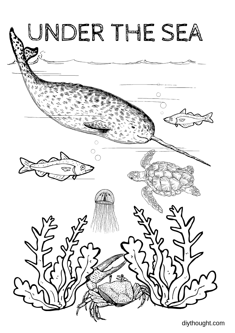 World Oceans Day Activities diy Thought