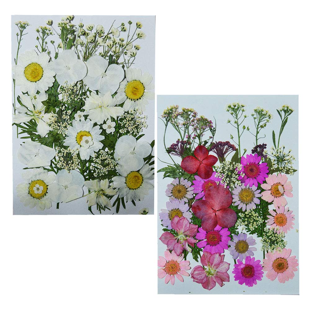amazon pressed flowers