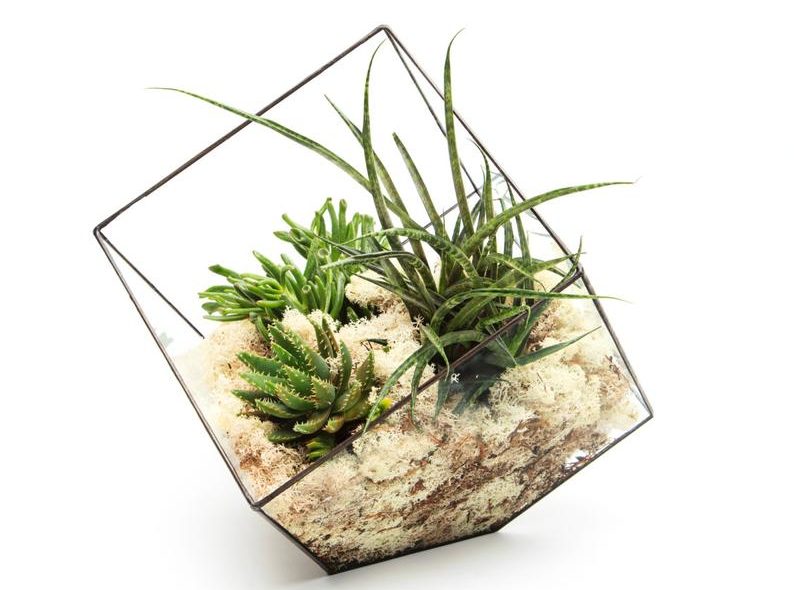 How-to-make-a-Terrarium