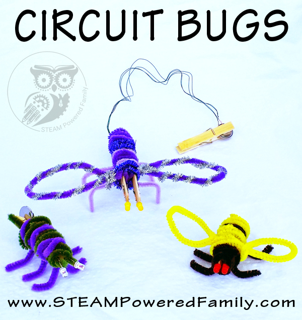 circuit bugs