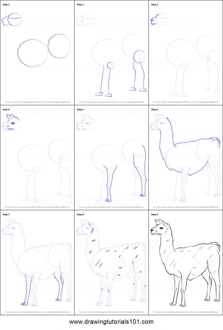 llama drawing tutorial