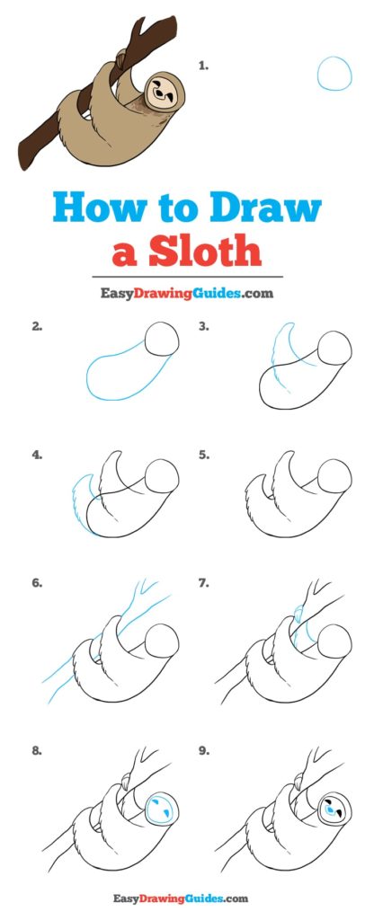 how to draw a sloth