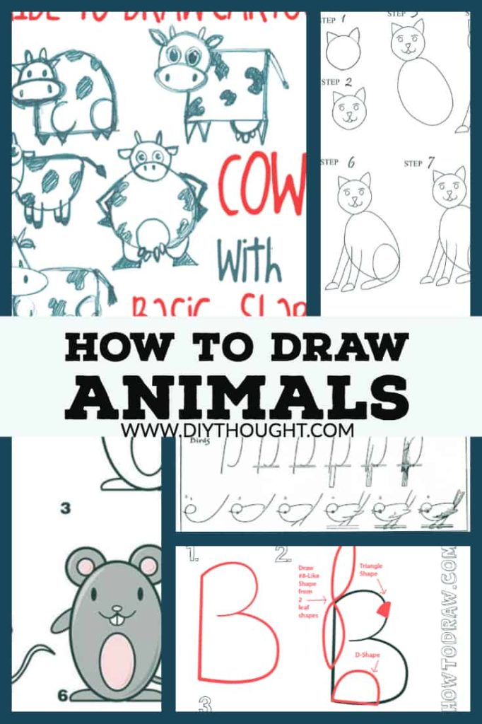 how to draw animals