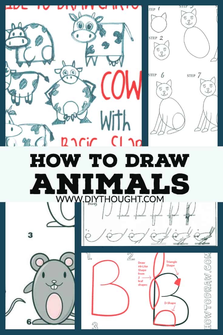 how to draw animals