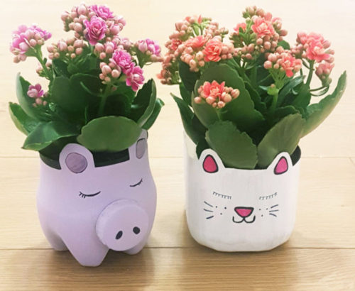 5 DIY Recycled Plant Pots - DIY Thought