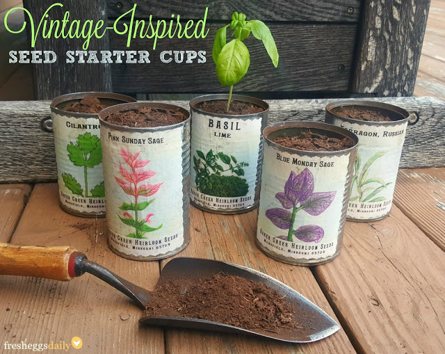 tin can plant pot