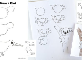 how to draw a kiwi and koala