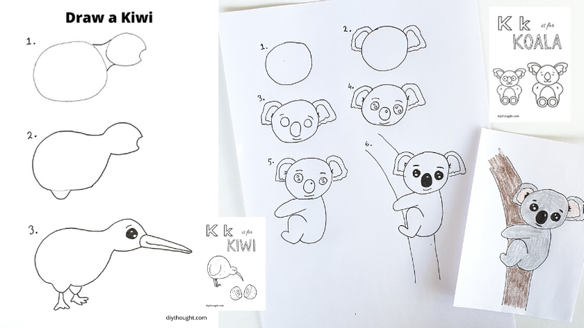 how to draw a kiwi and koala