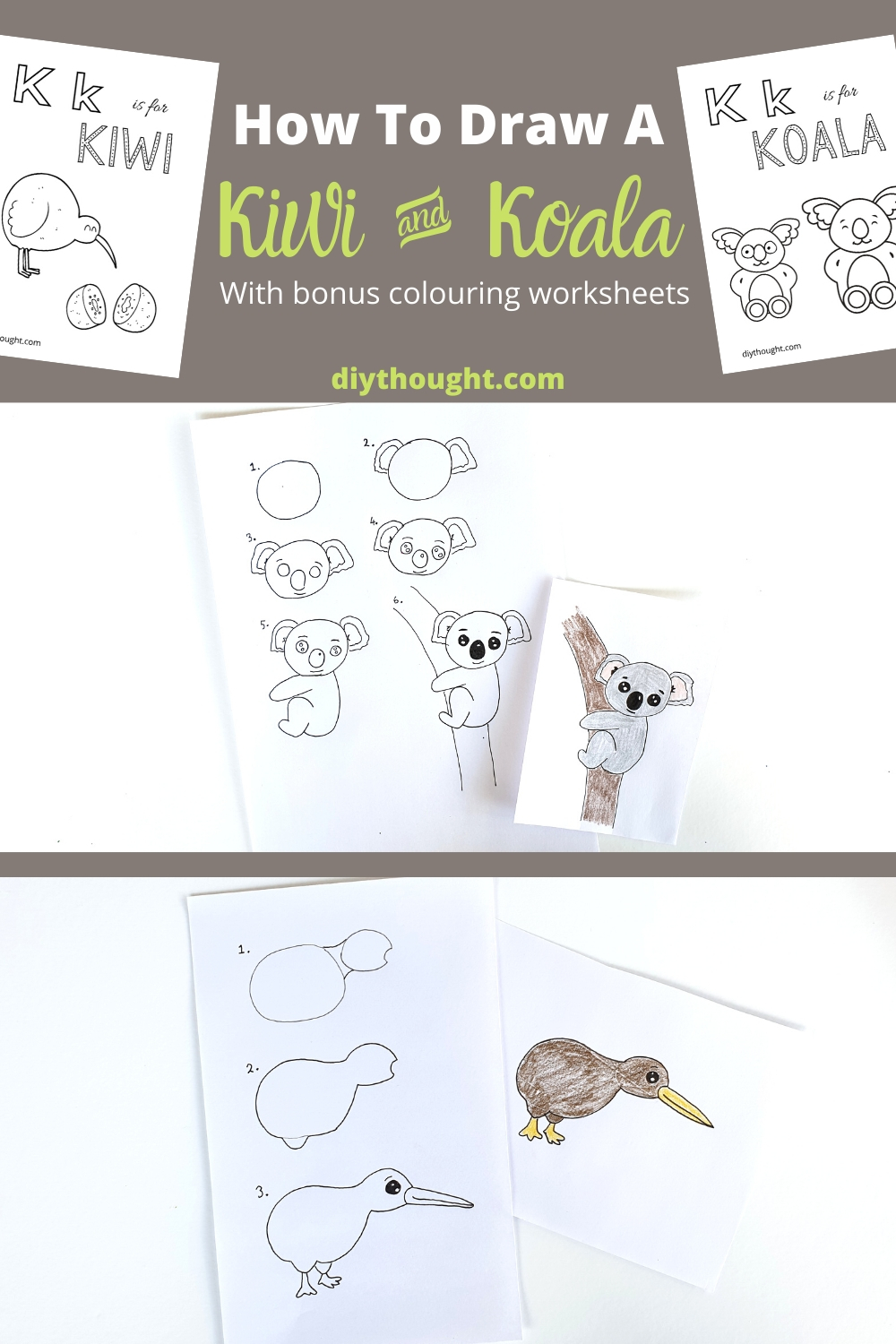 how to draw kiwi and koala