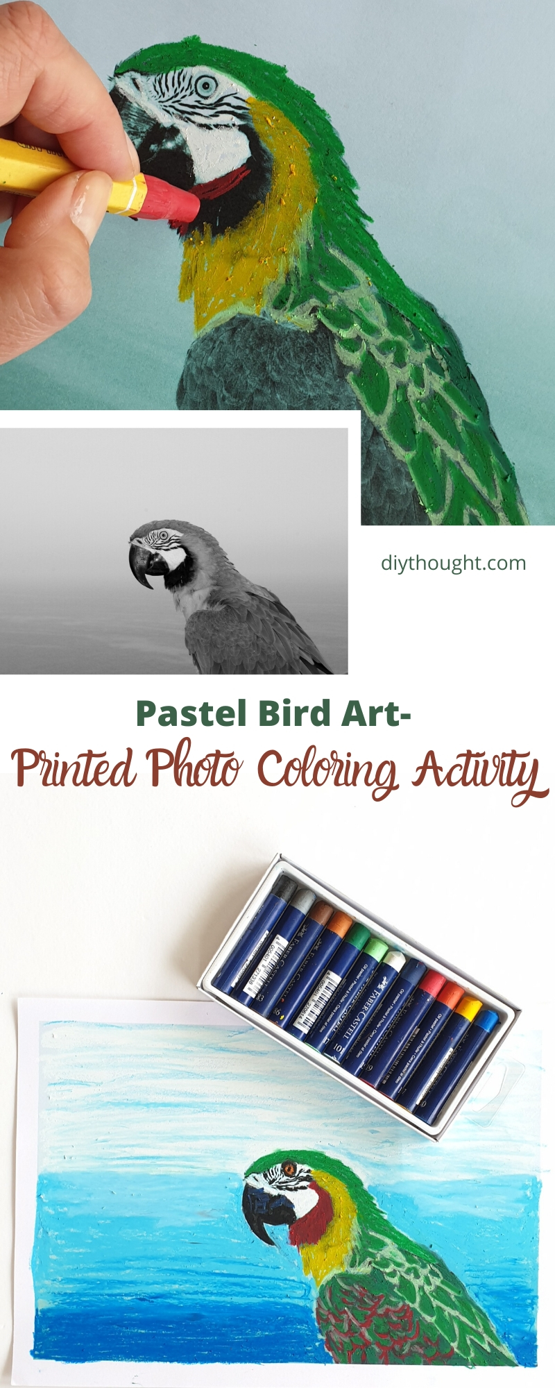 pastel bird art activity