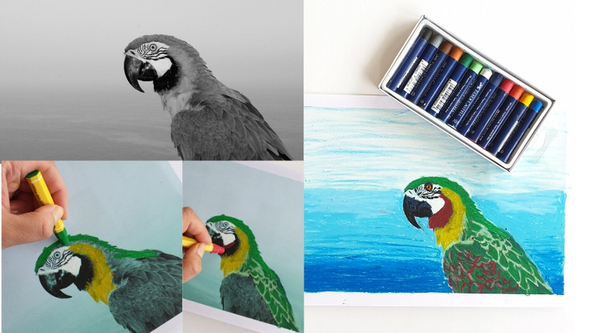 pastel photo bird art