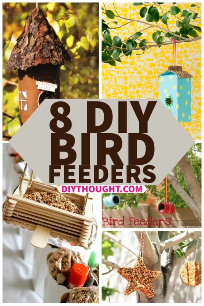 DIY bird feeders 