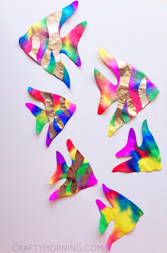 coffee filter fish
