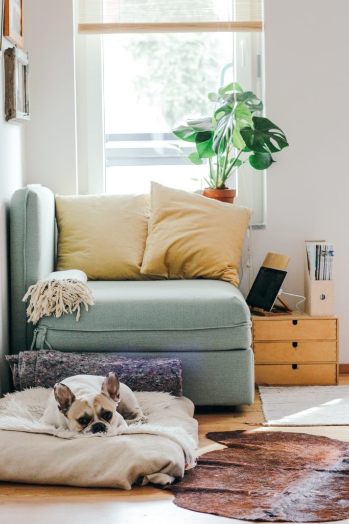 Frugal Ways to Refresh & Restyle Your Living Room