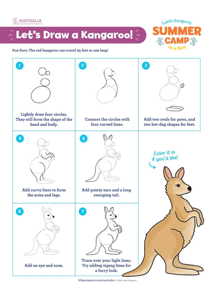 How To Draw A Kangaroo Diy Thought