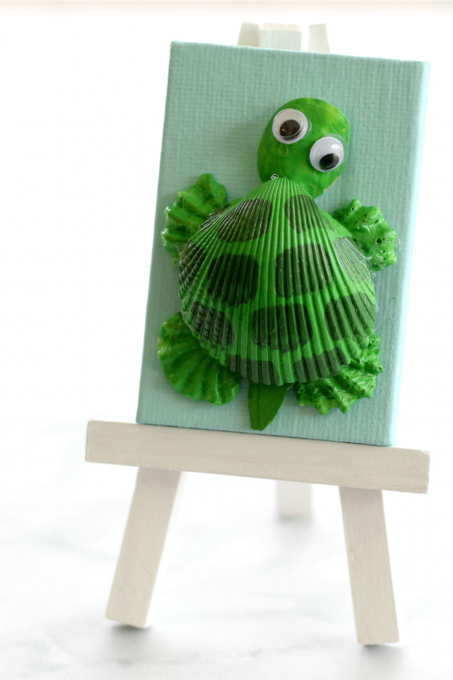 seashell turtle