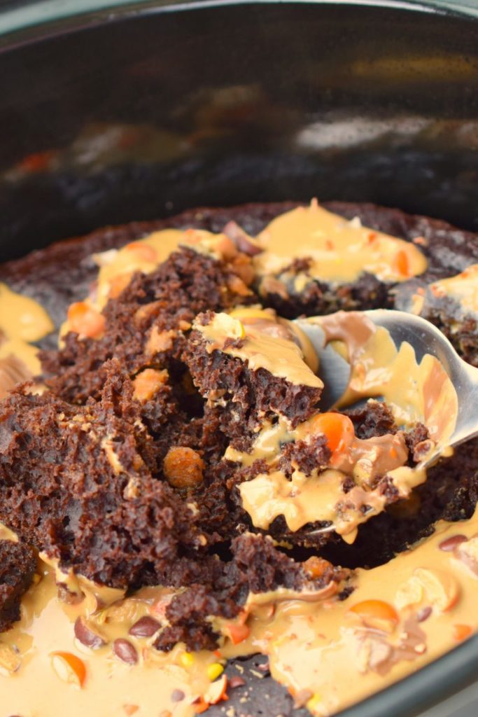 chocolate peanut butter bliss cake