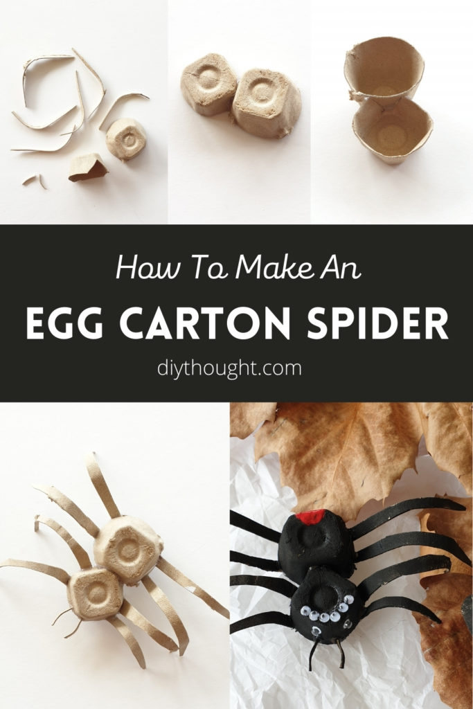 how to make an egg carton spider