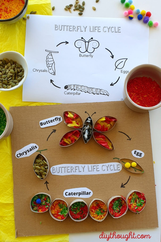 Cardboard Tube Butterfly Life Cycle Sensory Art