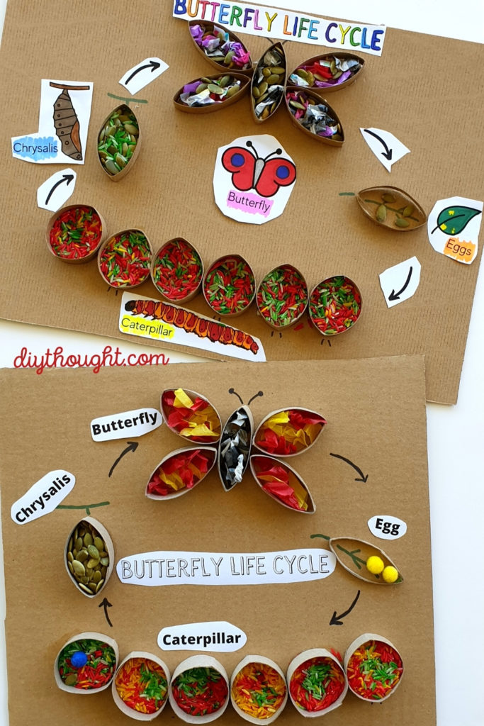 Cardboard Tube Butterfly Life Cycle Sensory Art