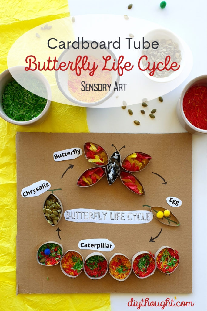 Cardboard Tube Butterfly Life Cycle Sensory Art